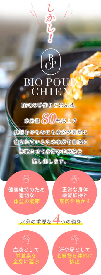 BPCの手作りごはんは水分量80%以上 水分の重要な4つの働き / 体温の調整 / 筋肉を動かす / 栄養素を全身に運ぶ / 老廃物を排出