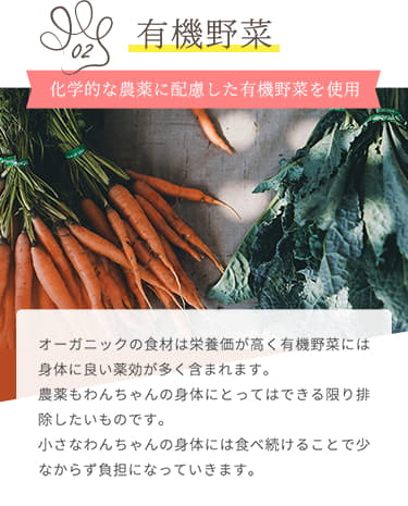 【有機野菜】化学的な農薬に配慮した有機野菜を使用