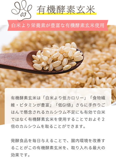 【有機酵素玄米】白米より栄養素が豊富な有機酵素玄米使用