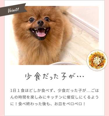 【少食だった子が...】ごはんの時間を楽しみにキッチンに催促しにくるように！