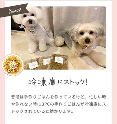 【冷蔵庫にストック！】忙しい時や作れない時にBPCの手作りごはんが冷蔵庫にストックされていると助かります。