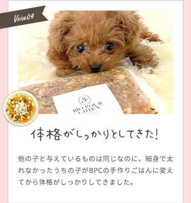 【体格がしっかりとしてきた！】細身で太れなかったうちの子がBPCの手作りごはんに変えてから体格がしっかりしてきました。