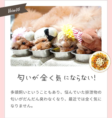 【匂いが全く気にならない！】多頭飼いで悩んでいた排泄物の匂いがだんだん臭わなくなり、最近では全く気になりません。